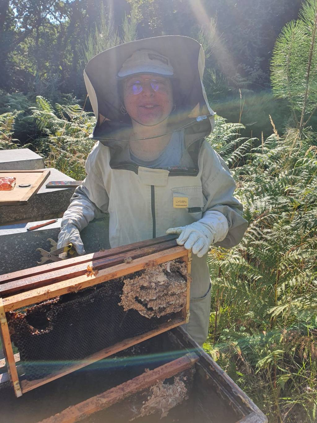 PONENCIA: 20 AÑOS  CONVIVIENDO CON VELUTINA. APRENDIZAJE PARA LA AVISPAS&nbsp;ORIENTALIS